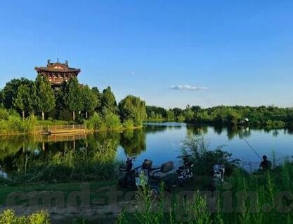 精品麻豆91-探索网路词组精品麻豆91——区域文化与在线社群理解的交汇点