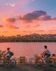 m麻豆传媒-高能仁智之选，在流光溢彩的数字世界中