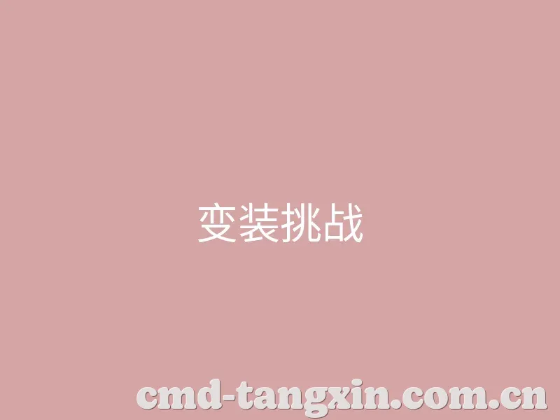 新闻动态